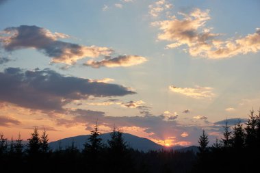 Gün batımında mavi ve yumuşak pembe bulutların renkleriyle huzurlu bir akşam göğü. Ufuk hafifçe parlıyor, siluetli çam ağaçları ve yuvarlanan tepeler üzerine ışık saçıyor, huzurlu ve geniş bir manzara yaratıyor..