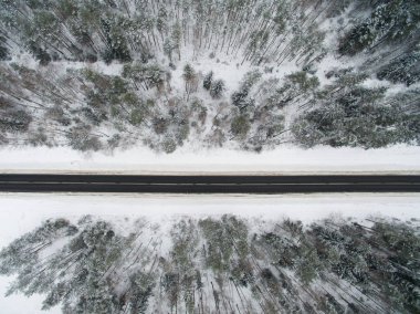 Kış orman ve asfalt yol. Yukarıdan görüntüleyin. Fotoğraf ile bir dron çekilmişti. Karda siyah bir yol çam ve Ladin ormanı.