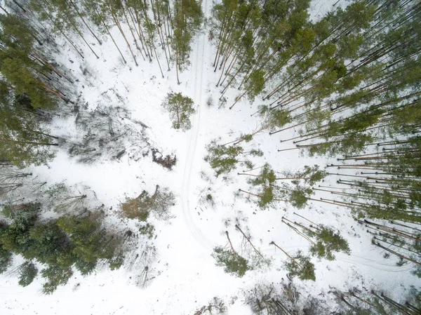 Paisagem de inverno na estrada em uma floresta verde. Drone vista foto em um dia nublado. Vista aérea superior bela paisagem nevada — Fotografia de Stock