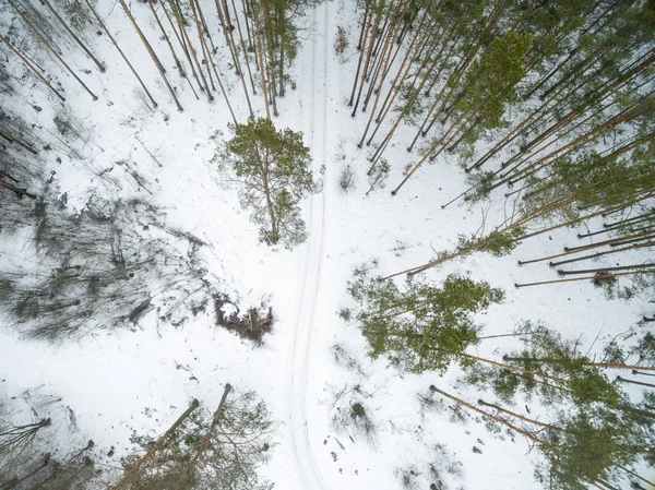 Paisagem de inverno na estrada em uma floresta verde. Drone vista foto em um dia nublado. Vista aérea superior bela paisagem nevada — Fotografia de Stock