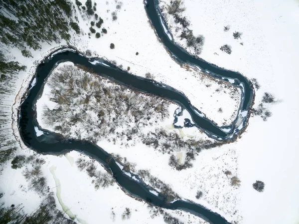 Winter landschap op de rivier met een bos onder sneeuw met een vogelperspectief. Drone foto weergeven vanuit de drone op een bewolkte dag. Antenne boven bekijken mooie besneeuwde landschap — Gratis stockfoto