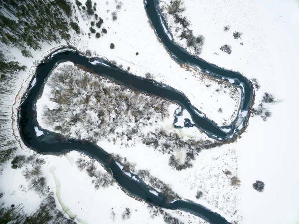 Winter landscape on the river with a forest among snow with a bird's-eye view. Drone view photo from the drone on a cloudy day. Aerial top view beautiful snowy landscape — Free Stock Photo