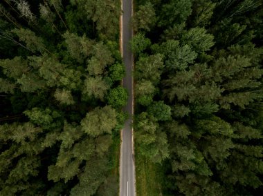 Asfalt yolu yeşil ormandan geçiyor. Yaz manzarası. Üst Manzara. Drone fotoğrafı.