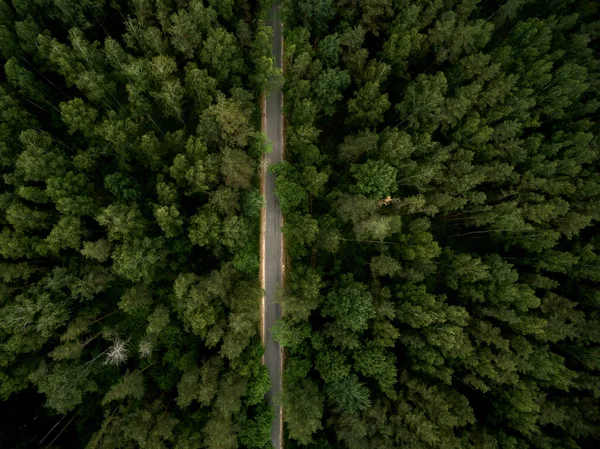 Strada Asfaltata Attraverso Foresta Verde Paesaggio Estivo Vista Dall Alto — Foto Stock