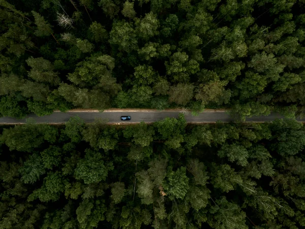 Asphaltstraße Mit Auto Durch Den Grünen Wald Sommerlandschaft Ansicht Von — Stockfoto