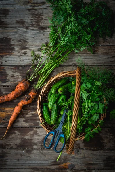 Harvest gurkor i en korg, nyskördade morötter i jord på trä bakgrund utomhus. Vertikal bild. — Stockfoto