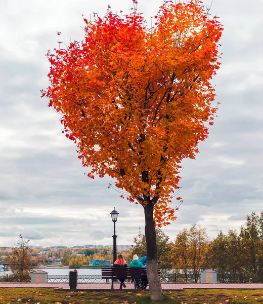 Кленовий клен у формі серця на вулиці міста, осінній сезон. Люди сидять на лавці, дивлячись на річку . — стокове фото