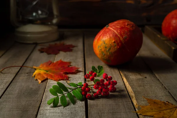 Still life with small autumn pumpkins and branch of rowan berries on wooden rustic background. — Stock Photo, Image