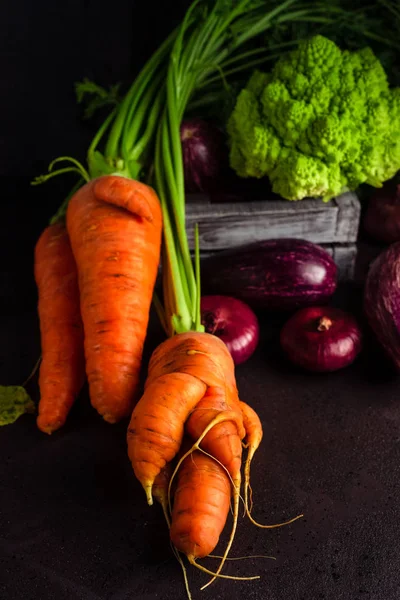 Olika färska trädgårds grönsaker inklusive morötter med toppar, äggplantor, romanesco kål på mörk bakgrund — Stockfoto