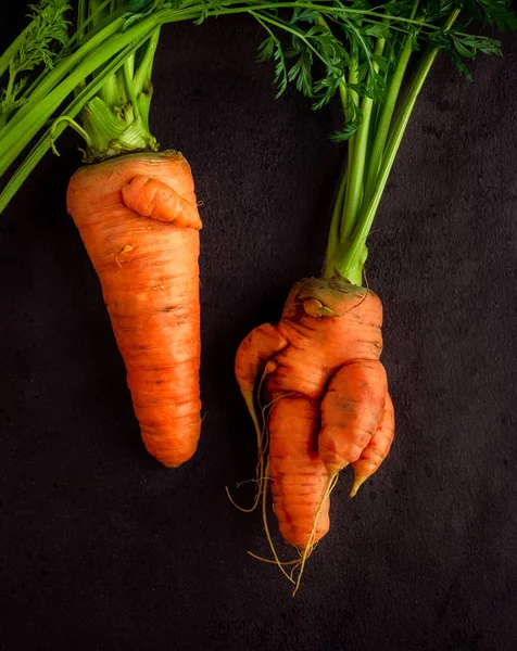 Dua wortel homegrown jelek dengan puncak di latar belakang gelap — Stok Foto