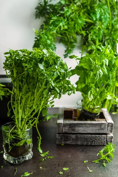 Basilic, menthe et othe plantes poussant dans des pots à la maison comme un petit jardin d'herbes — Photo