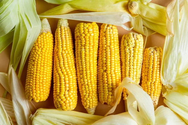 Üst üste serilmiş yaprakları ile ham sarı mısır koçanlarının yakın çekim görünümü