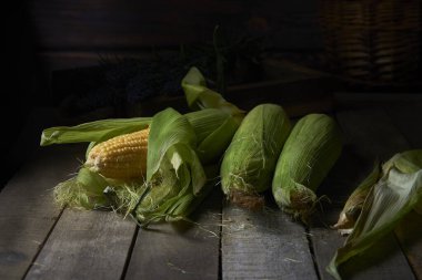 Koyu kırsal bir arka planda koçanlarda çiğ mısır.