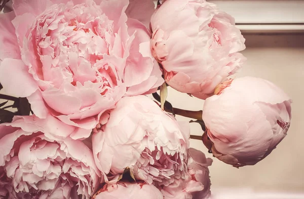 Bouquet Peonies Menutup — Stok Foto