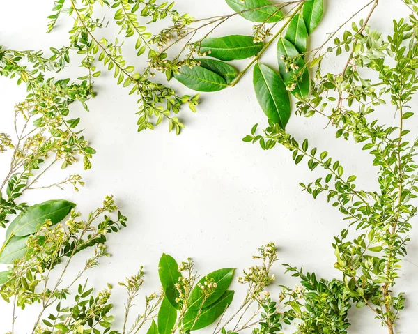 Cadre Avec Des Fleurs Des Herbes — Photo