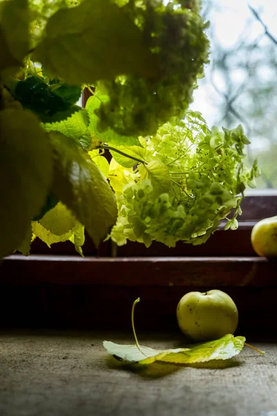 木制桌子上的鲜花和苹果 — 图库照片