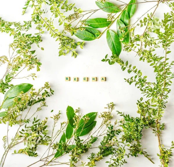 Bingkai Dengan Bunga Dan Herbal Dan Huruf Spring — Stok Foto