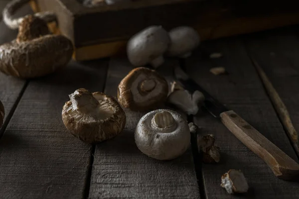 深色的乡村背景下新鲜蘑菇的多样性 — 图库照片