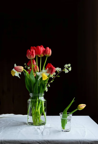 Buquê Tulipas Vermelhas Narcisos Flores Cereja Mesa Orientação Retrato Com — Fotografia de Stock