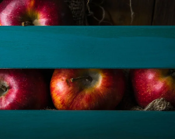 新鲜收获的红苹果 装在蓝色木箱中 — 图库照片
