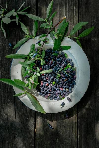 Honeysuckle berry dalam mangkuk di tangga kayu luar — Stok Foto