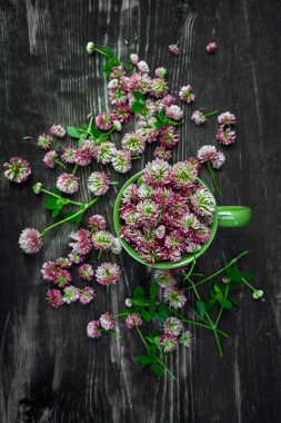 Ahşap arka planda taze pembe yonca başları, üst manzara. Doğal bitkisel ilaç. Portre yönelimi