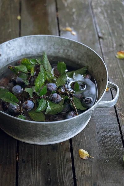 Plum berendam dalam air di bak mandi logam kecil dengan latar belakang kayu tua — Stok Foto