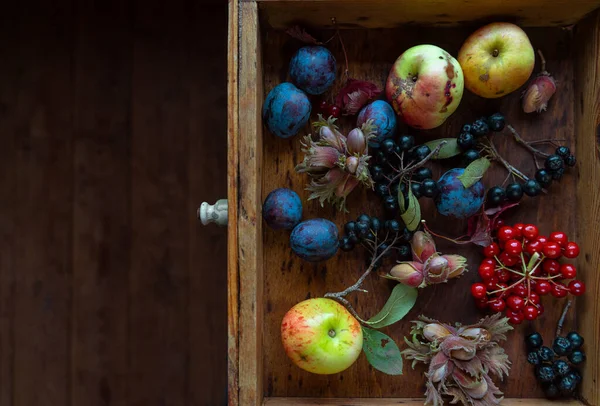 园林水果和浆果的种类繁多 装在一个小木箱里 顶部有可复制的空间 横向方向 — 图库照片