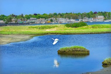 Büyük beyaz ak balıkçıl Marsh Padnaram köyü Harbor teknelerden Piers Moorings köprü akbabalar Bay Dartmouth Masschusetts