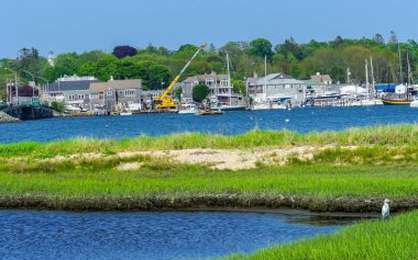 Büyük beyaz ak balıkçıl Marsh Padnaram köyü Harbor Bridge tekneler Moorings akbabalar Bay Dartmouth Masschusetts