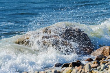 Crash taşlı Beach Westport noktası Massachusetts akbabalar Bay Atlantik Okyanusu el salla. Dalgalar kayalar üzerine çökmesini sprey 