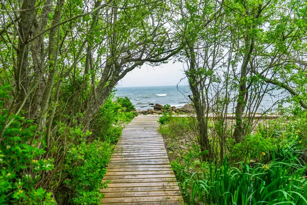 Strand Ocean Pad Boardwalk Bosgroen Bomen Padnaram Dartmouth Massachusetts Atlantische — Stockfoto