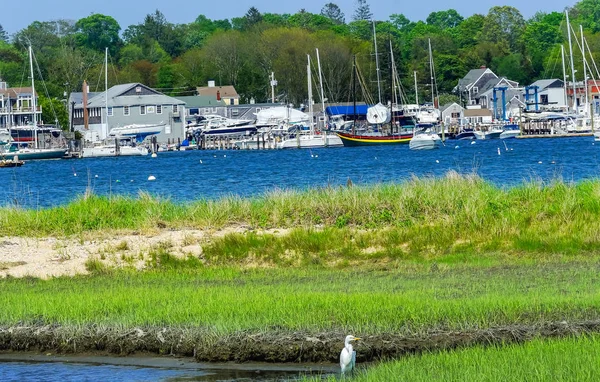 Wielki Biały Egret Marsh Żaglówki Piers Moorings Padnaram Wieś Harbor — Zdjęcie stockowe