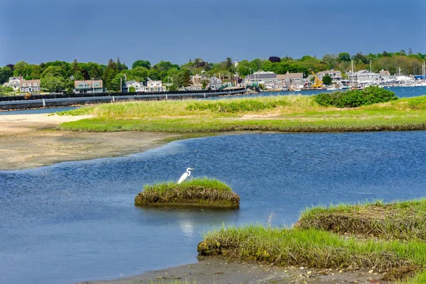 グレート ホワイト白鷺マーシュ Padnaram 村ハーバー ブリッジ バザーズ湾ダートマス マサチューセッツ — ストック写真