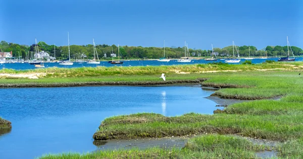 グレート ホワイト白鷺マーシュ Padnaram 村港ヨット バザーズ湾ダートマス マサチューセッツ — ストック写真
