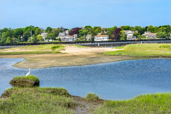 Great White Egret Marsh Padnaram Village Harbor Bridge Buzzards Bay — Stock Photo, Image