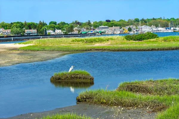 グレート ホワイト白鷺マーシュ Padnaram 村ハーバー ブリッジ バザーズ湾ダートマス マサチューセッツ — ストック写真
