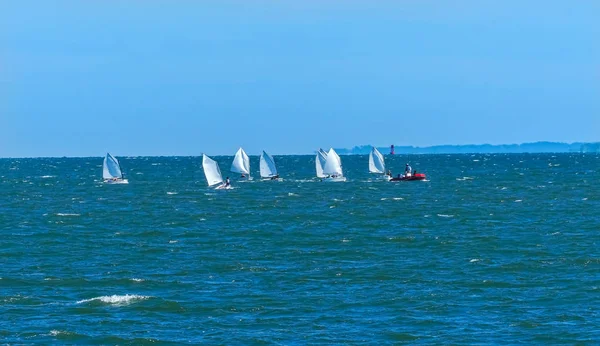 Veleros Racing Padnaram Harbor Buzzards Bay Dartmouth Masschusetts Sabots Corriendo — Foto de Stock