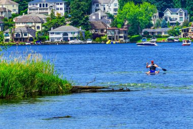 Kirkland, Washington - 5 Temmuz 2018 kanocu Paddler evleri kaplumbağalar Lake Washington Juanita Bay Park Kirkland Washiington