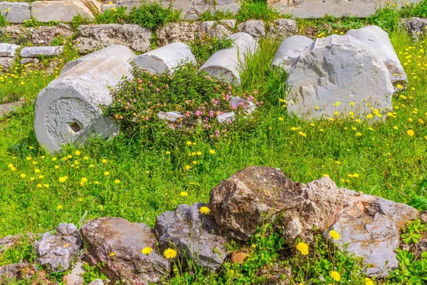 Ancient Vårblommor Agora Ruiner Kolumner Marknadsplats Fält Aten Grekland Agora — Stockfoto