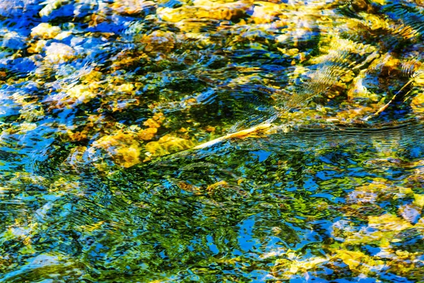 Lachs Blau Grün Gelb Reflexion Wasser Abstrakt Issaquah Creek Lachsbrüterei — Stockfoto