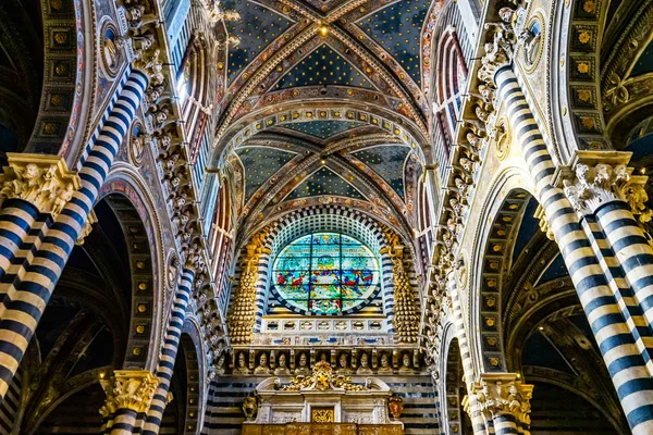 Siena Talya Eylül 2017 Basilica Nef Gül Pencere Vitray Katedral — Stok fotoğraf