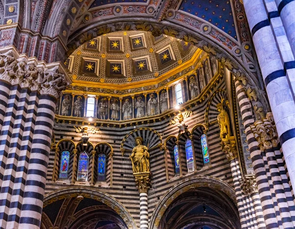 Siena Talya Eylül 2017 Basilica Kubbe Heykellere Vitray Katedral Kilise — Stok fotoğraf