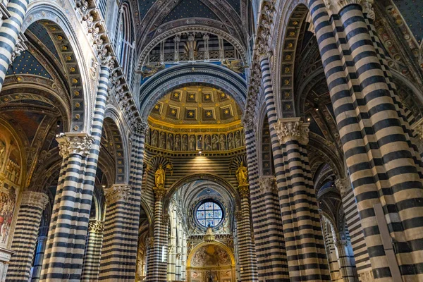 Siena Italien September 2017 Basilikan Arches Nave Ros Fönster Glasmålningar — Stockfoto