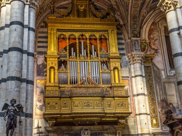 Basílica Nave Iglesia Catedral Órgano Siena Italia Catedral Terminada 1215 — Foto de Stock