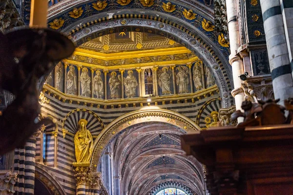 Bazilika Mary Statue Altın Kubbesi Katedral Kilise Siena Talya Azizler — Stok fotoğraf