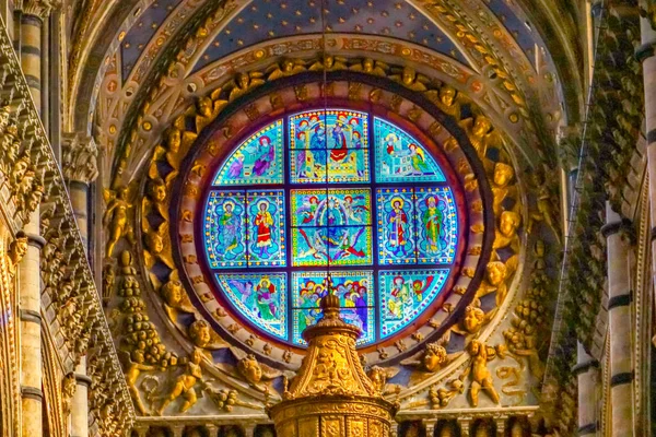 Basilica Blue Virgin Mary Saints Rose Window Igreja Catedral Vidro — Fotografia de Stock