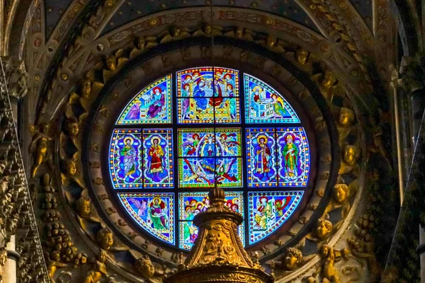 Basilica Blue Virgin Mary Saints Rose Window Igreja Catedral Vidro — Fotografia de Stock