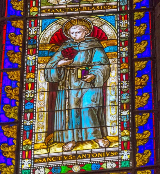 Saint Anthony Świetne Barwione Szkło Katedra Kościół Siena Włochy Wypełnione — Zdjęcie stockowe