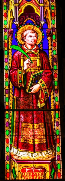 イタリア 2017 日聖スティーブン Protomartyr の最初のキリスト教の殉教者聖ジョン ピアッツァ ピサ大聖堂ピサ トスカーナ イタリアの死ステンド グラスの礼拝堂に投石です — ストック写真